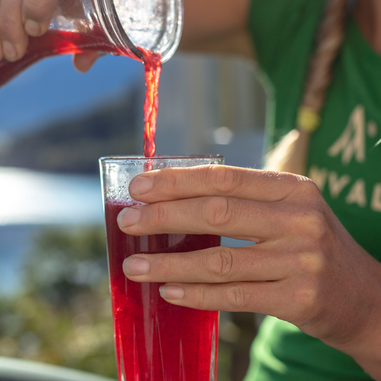 Økologisk Sportsdrikk Mikspakke 12 stk